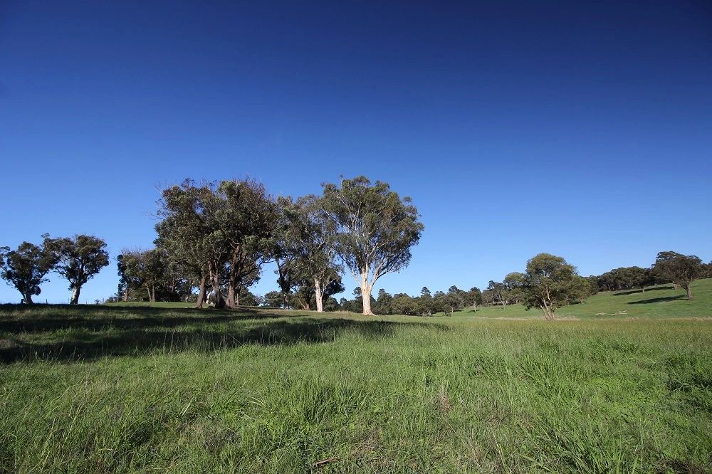 Land Sale Glenrowan Green Estate